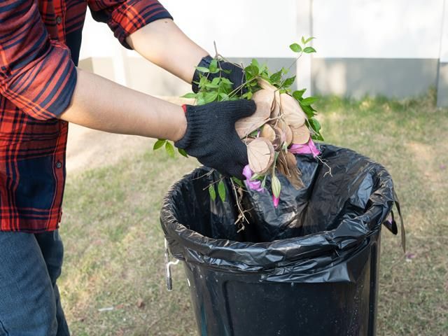 images/garden-clearance/slider/garden-waste-removal (8)-kireth-ai.jpeg
